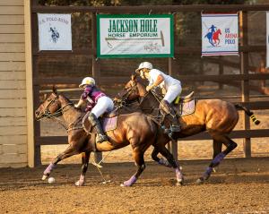 two arena polo players make a play on each other and the ball in the goal mouth