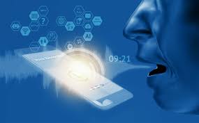 Voice Recognition Biometrics Market