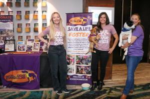 Three women and two adoptable puppies Soul Dog Rescue at BlogPaws LiVE in Boulder, CO