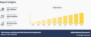 Viral Vectors And Plasmid DNA Manufacturing Market 2033