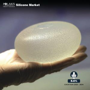 Silicone Market