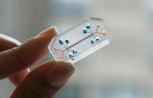 Global Microfluidics Market Size