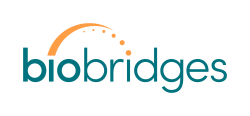 BioBridges logo