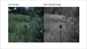 Near Infrared Imaging/NIR