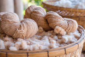 Eco Fibers Markets Trends