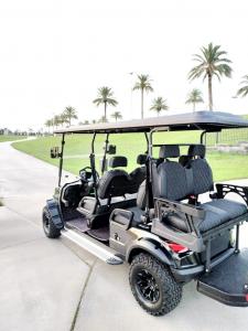 Tiki EV custom golf cart featuring integrated GPS