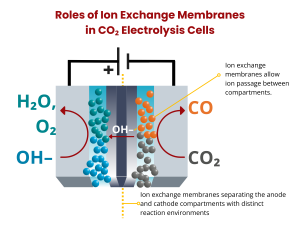 Ion Exchange Membrane Market