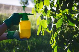 Global Biorational Pesticides Market