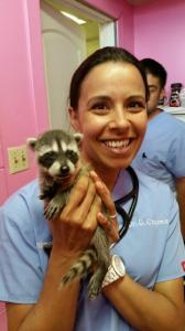 Dr. Danielle Chapman, at her practice of in home pet euthanasia in Austin, TX