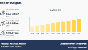 Cardiac Ablation Market 2033