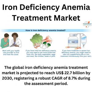 Iron Deficiency Anemia Treatment Market (Drug Type: Ferrous Sulfate, Ferrous Gluconate, Ferrous Fumerate, Ferric Hydroxide, Sodium Ferric Gluconate, Iron Carbohydrates, and Others; Dosage Form: Tablets, Capsules, and Liquid; and Distribution Channel: Hosp