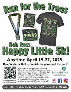 Flyer shows the tshirt, medal, bib, and sticker that participants get with their registration.