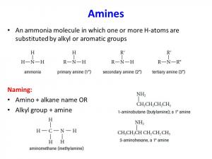 Alkyl Amine_Market