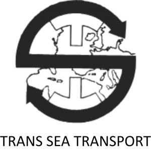 Black and white version of TST Group's logo