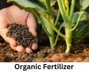 Organic Fertilizers Market