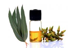 Eucalyptus Oil Market