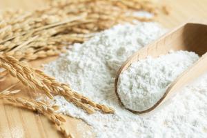 Rice Flour Market Forecast 2023-2031