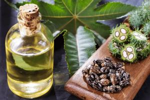 Castor Oil Market