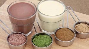 Protein Hydrolysates Market