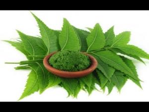 Neem Extract