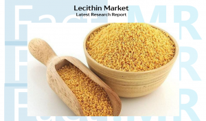 Lecithin Market