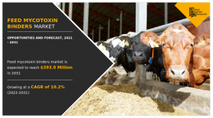 Feed Mycotoxin Binders Market