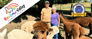 A smiling couple stands in a field surrounded by alpacas at Rainbow Valley Family Farms, proudly displaying the IBCCES Certified Autism Center™ seal.