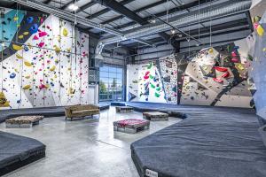 Climbing Gym Market