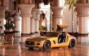 Global Luxury Cars Business