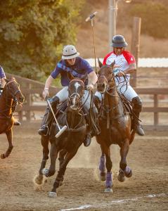 two arena polo players on horses play for their military USA vs India