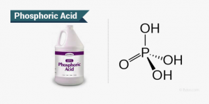 Global Phosphoric Acid Industry