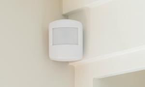 Motion Sensor