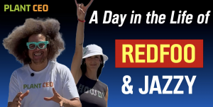 Redfoo & Jazzy: A Day In the Life on UnchainedTV