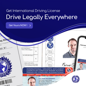 International Driving License