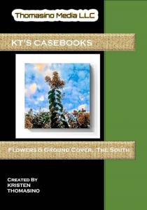 KT's Casebooks by Kristen Thomasino