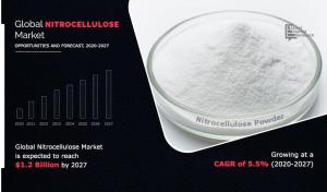 Nitrocellulose Markets Share