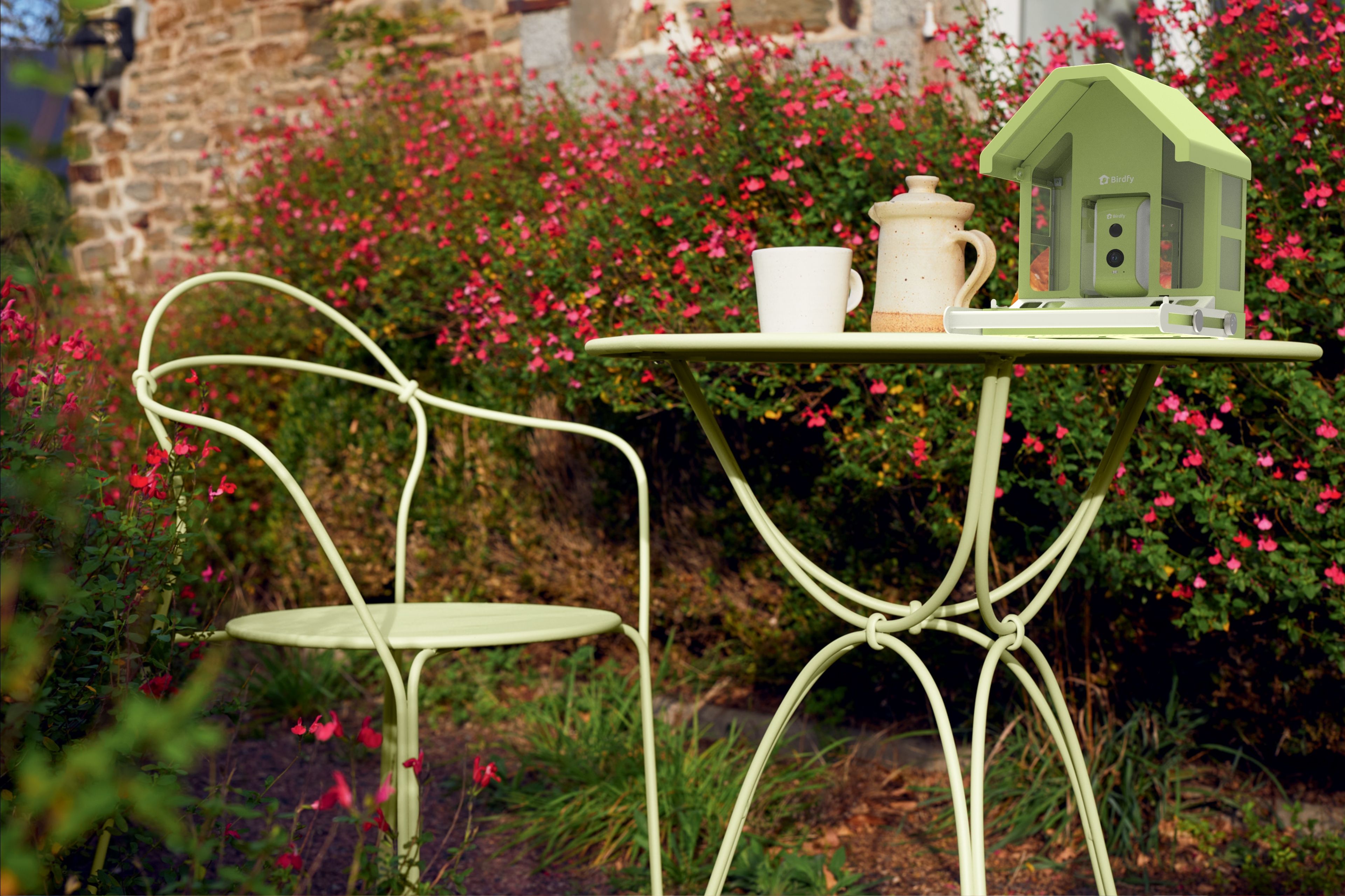 A green Birdfy bird feeder in a sunny yard.