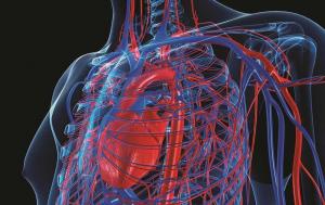 Cardiovascular Information System
