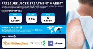 Pressure Ulcer Treatment Market