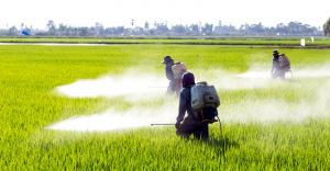 Global Biorational Pesticides Industry