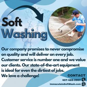 Softwashing Services of Immaculate Softwash