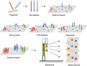 Global Next-Generation Sequencing Business