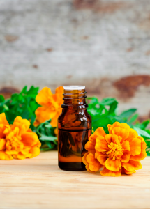 Tagetes Oil Market