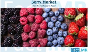 Berry Industry