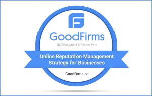 Online Reputation Management Strategy for business