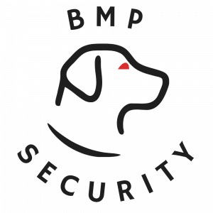 BMP Security, LLC Stacked Logo