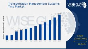 Transportation Management Systems (TMS) Market