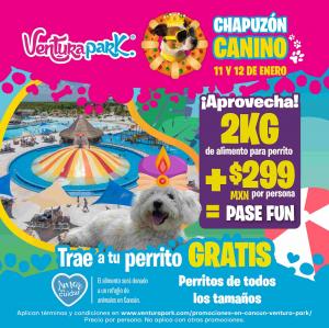 Dog Splash Promotions at Venturapark