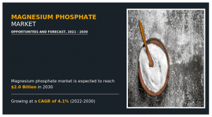 Magnesium Phosphate Markets Trends