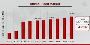 Animal Feed Market Overview